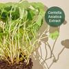 mixsoon Centella Asiatica Essence 100mL