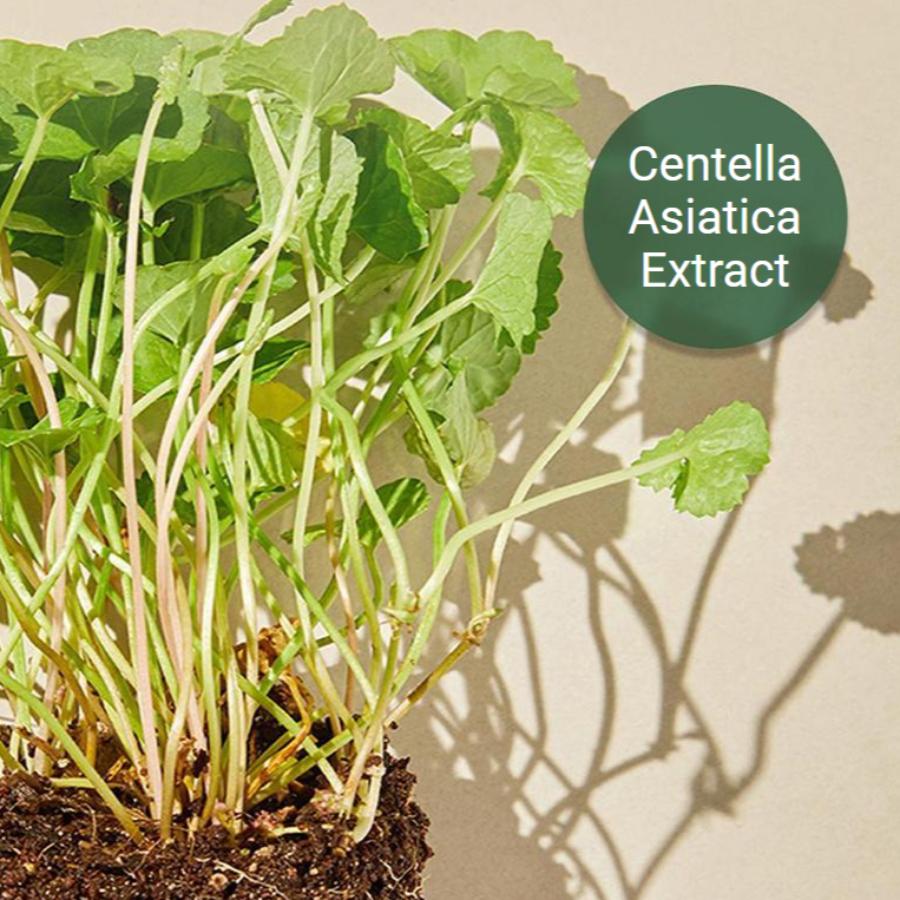 mixsoon Centella Asiatica Essence 100mL