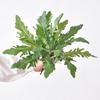 1Pc Artificial Fern Leaf Outdoor Greenery Garden Silk Flowers Wedding Fake Plants PVC Lawn Decoration
