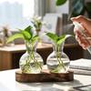 Creative Desktop Wooden Stand with Two Transparent Hydroponic Glass Vases for Home Decoration and Plant Display Modern Design