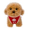 New baby children's sports teddy dog doll plush toy teddy dog doll birthday gift