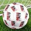 Messi 10 Number Football Star Size 5 Football Machinestitched Indooroutdoor Universal Football Perfect Commemorative Gift For Soccer Lovers