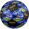 Ronaldo's Juventus Celebration Size 5 Soccer Football Machine-Stitched Indoor/Outdoor Training and Matches Soccer Accessory
