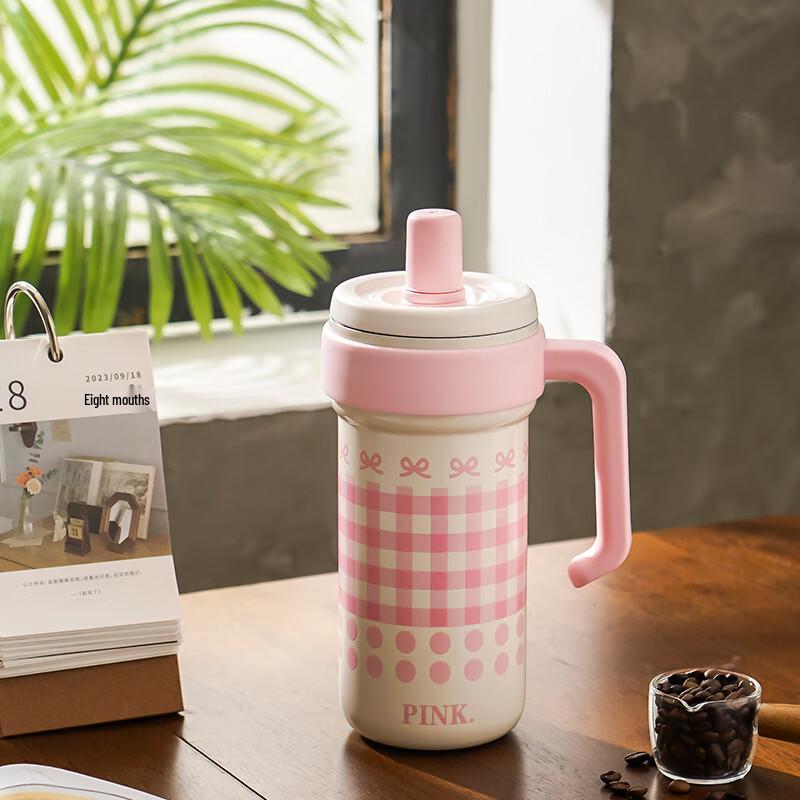 Nufeng Large Capacity Insulated Tea Infuser Straw Cup