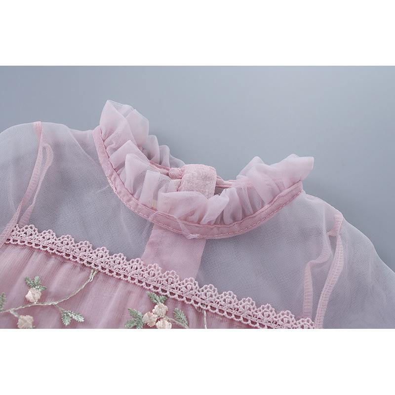 Spring and Autumn New Children's Dress with Lace Trim, Mesh, Embroidery, Puff Sleeves, Long Sleeve Girls' Dress, Korean Style