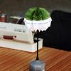 DIY Pinecone Paper Lamp Shade with Adjustable Rope Outdoor Camping Light Shade Folding Lampshade for Camping Hiking