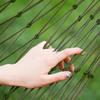 Travel Hammock,Camping Hammock, Outdoor Sport Hammock Army Green Net Mesh Nylon Sleeping Bed