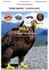 Men's Retro Cowhide Leather Belt with 3D Eagle Buckle - Fashionable and Stylish Trousers Accessory
