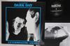 LP Record R.L. CRUTCHFIELDS DARK DAY  Exterminating Angel DE025 DARK ENTRIES 2012 US Rock Used