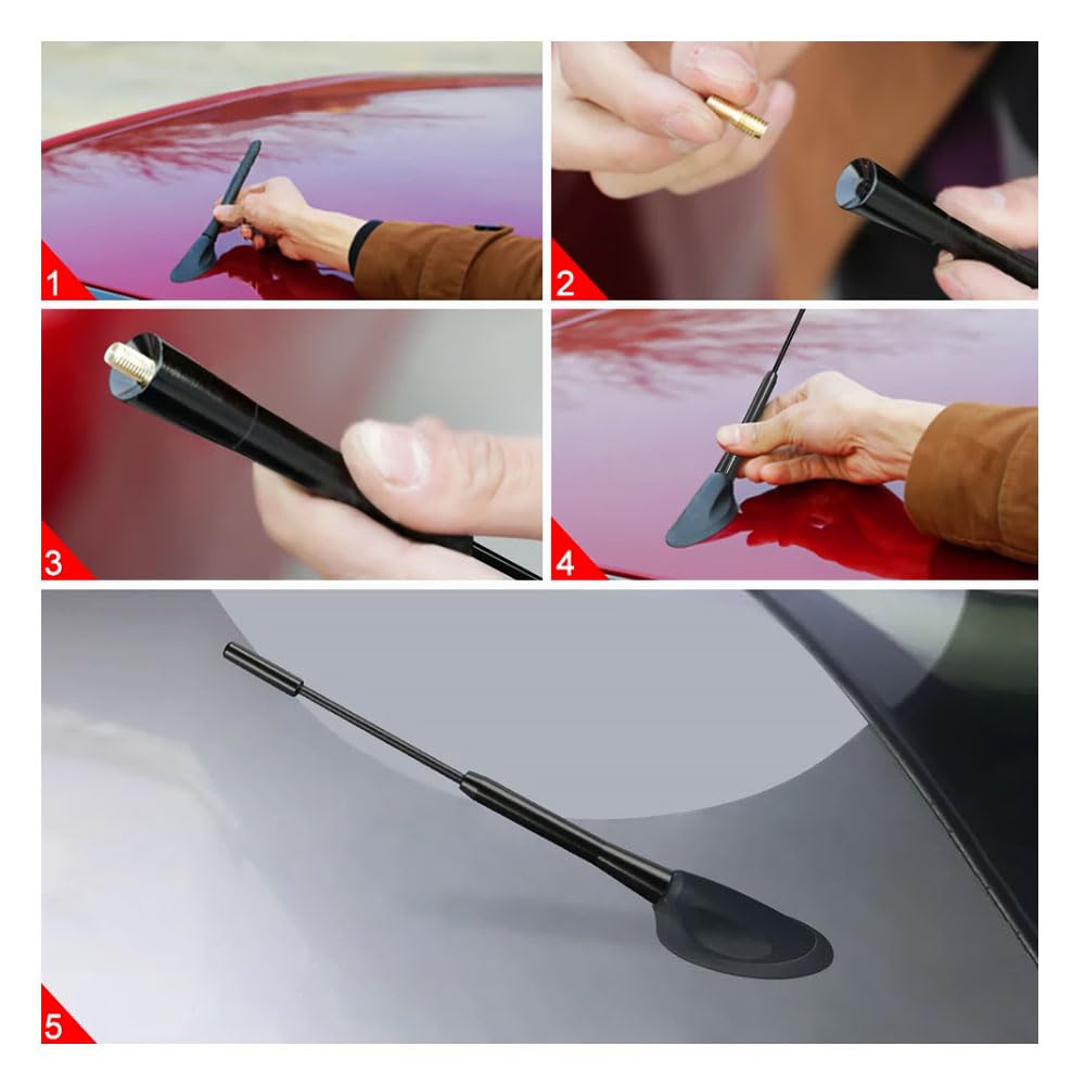 Kurze Antenne für Auto AM FM Antenne Universal Hohe Empfindlichkeit Mast Kohlefaser Stubby Autoante (blau)