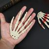 1pair Halloween Fake Skeleton Hands Bone Scary Human Hand Horror Props for Halloween Party Decoration Supplies Haunted House