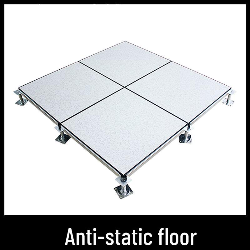 DeLi Full Steel Anti-static Floor Tile