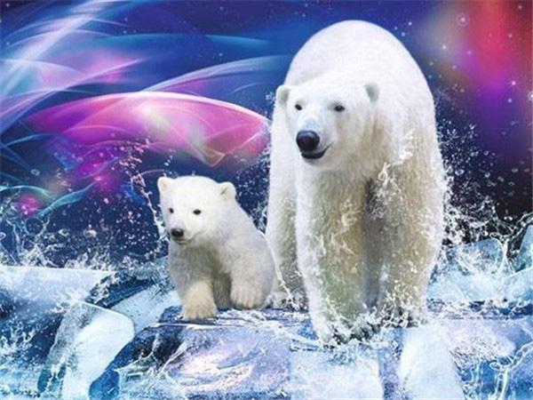 Full Square/round Diamond Painting Embroidery Polar Bear Home Decor Mosaic Cross Stitch Arctic Animal Wall Sticker