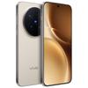 vivo X300 Pro AI 5G Smartphone with Zeiss 200MP Super Telephoto Camera (CN version)