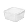 Frozen Storage Box, Special Frozen Meat Packing Fresh-Keeping Box For Refrigerator, Food Sealing Plastic Grid Small Box, Vegetable Preparation Box