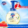 Safeguard Healthy Foam Antibacterial Hand Wash
