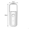 30ml Humidifier, Handy Sprayer, Refreshing, Face Hydrating Nano Facial Mister Portable Steamer