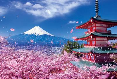 Beverly Jigsaw Mount Fuji and Cherry Blossoms At Sengen Shrine X 38 Made In Japan 300-Piece Puzzle (26 Cm) -