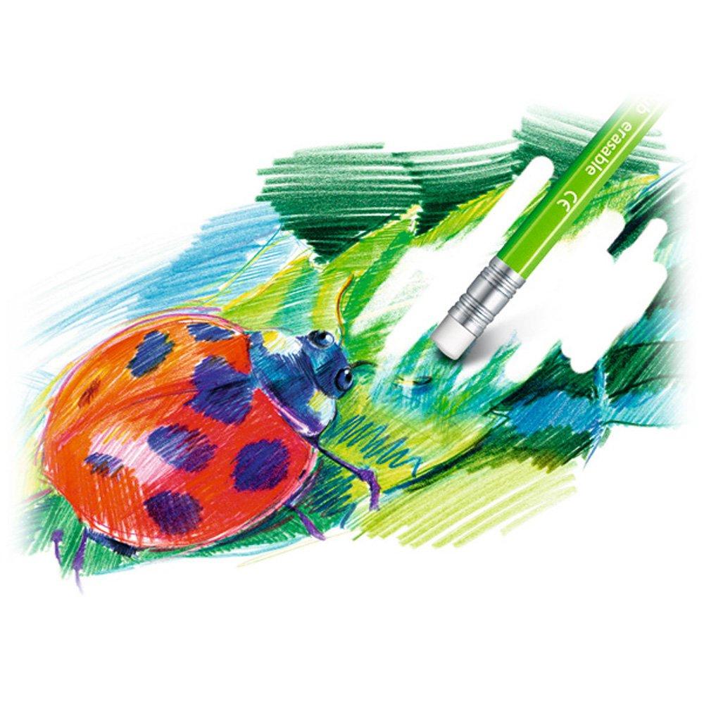 Staedtler Colored Pencils 24 Colors Erasable Colored Pencils Norris Scrub 144 50NC24