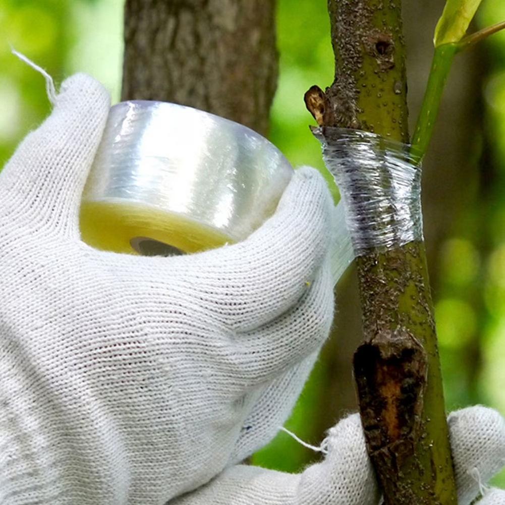 200m Länge Umweltfreundliches Biologisch Abbaubares Pfropfband Pfropfmembran Gartenbindeband PE-Pfropfband Gartenpfropfbedarf