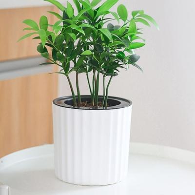 Solid Color Self Watering Flower Pot Home Decoration Garden Supplies Lazy Water-absorbing Flower Pot Plastic Mini Planter Pot