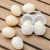 2Pcs 2-Cell Outdoor Portable Egg Box  Plastic Tray Shock-absorbing Anti Drop Egg Loade Storage Containers Organizer Box Storage
