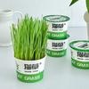 Soil-Free Hairball Relief Digestive Aid Cat Grass Tinned Food