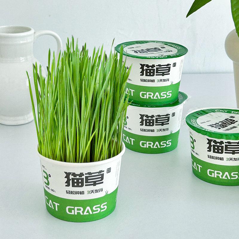 Soil-Free Hairball Relief Digestive Aid Cat Grass Tinned Food