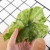 Fake Green Simulation Realistic Artificial DIY Kids Toy Lettuce Adornment Lettuce Leaves Vegetable Model