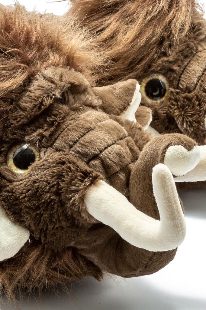 Pantoufles Unisexes En Peluche Douce | Semelle Antidérapante TPR | Doublure Polaire Chaude | Pour Maison, Bureau, Dortoir