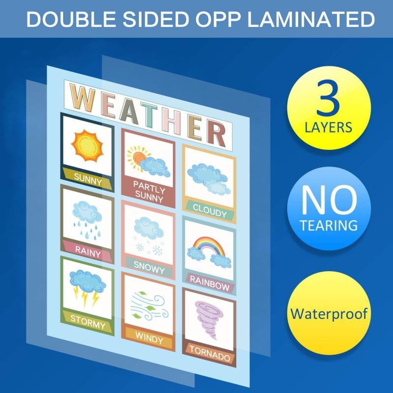 12 Pack Educational Posters Toddlers Kids Preschool Kindergarten Learning Charts for Classroom Home Alphabet Numbers Gift