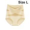 Lift Hip and Tummy Shapewear Briefs Mesh Panel High Waisted Underwear  Daily Outfits