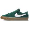 Blazer Low Gt Sb 'Green Gum' Skateboard Shoes DC0603-300