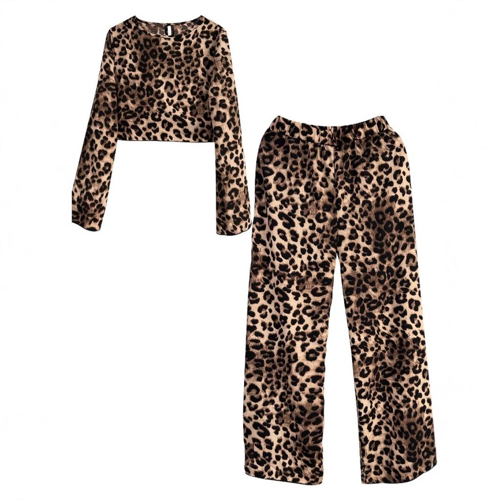 Spring New Leopard Print Women's 2 Piece Outfit Casual Loose Long Sleeve Top + Long Pants Set European American Style For Ladies