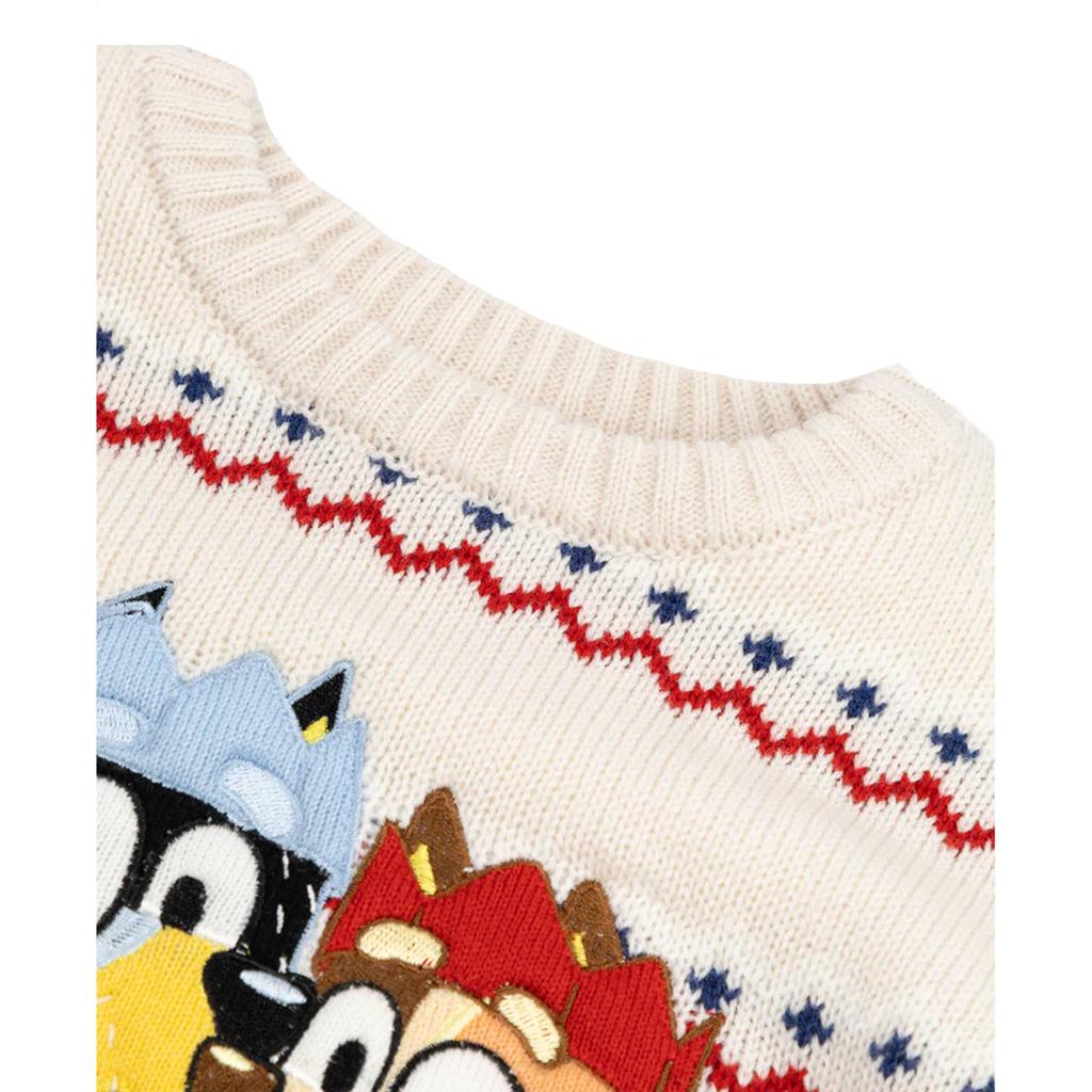 Bluey Childrens/Kids Family Christmas Jumper
