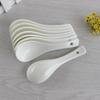 Pure White Ceramic Small Spoon