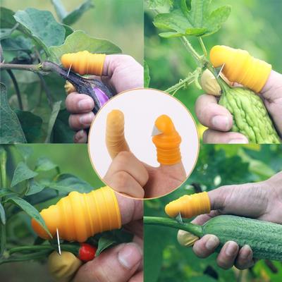 Giardino Frutteto Raccolta di frutta e verdura Taglierina per sega Lama per sega Cesoie per potatura Raccoglitrice per dita
