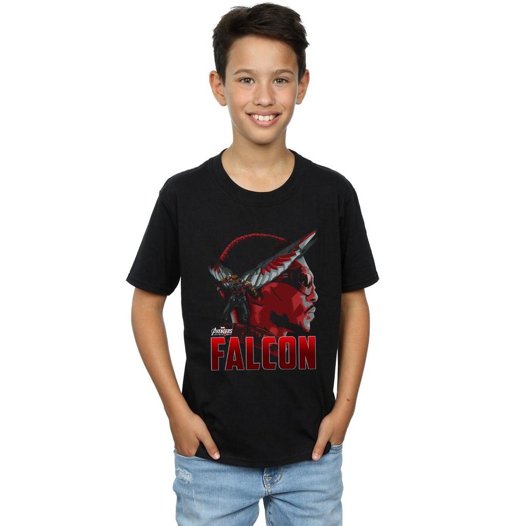 Marvel Boys Avengers Infinity War Falcon Character T-Shirt