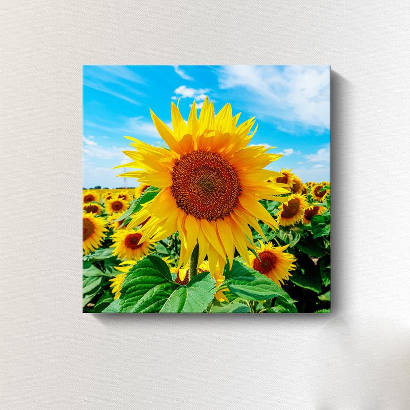 Moderne Sonnenblumen-Leinwandmalerei, nordische Landschaft, HD-Bilder, Blumenplakate und -drucke, Wandkunst, Bilder, Wanddekoration, kein Rahmen