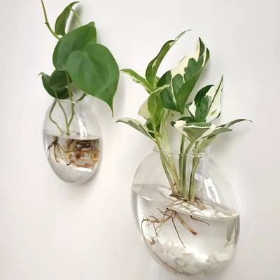 1/2/4/6 stücke Flache Glas Vase Wand Hängen Glas Terrarien Pflanzer Transparent Wand Montiert Vase