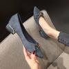 Fashion Office Shoes for Women Pointed Toe Chunky Heels with Medium Woman Pumps Block Heel Elegant Dress Young Korean Style Y2k Spring