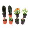 5ks 1:12 Simulační rostlina domečku pro panenky Model v květináči Miniaturní domeček pro panenky Zahrada Domácí ozdoby Dekorace na mikro scénu Hračky