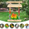 Swing Toy Bird Perch for Small Parrots Molar Grinding Scratchers Rack