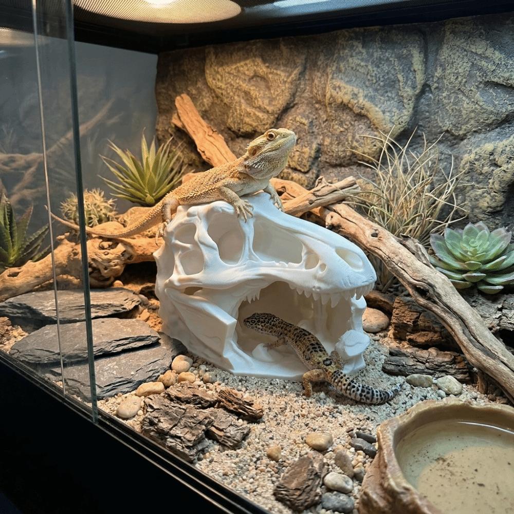 Lifelike Dinosaur Landscape Ornament 3D Printed Fish Hollow Shelter Fish Tank Ornament  Terrarium