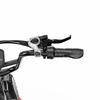 Vélo électrique Onesport OT30 Pro 20" Moteur 500W Vélo cargo électrique pliable Shimano 7 vitesses Freins à disque doubles 48V 18AH Charge maximale 180 kg