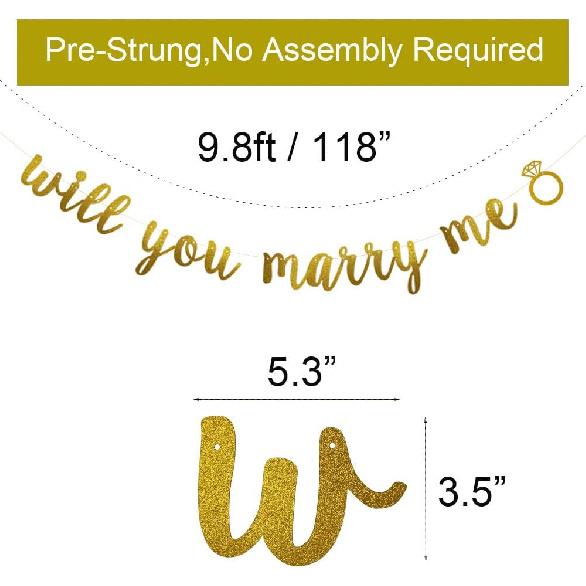 Will You Marry Me Banner, Pre-strung,No Assembly Required,Bachelorette/Engagement/Bridal Showers/Wedding Party Decorations Supplies, Gold Glitter
