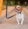 Leash For Dog Or Cat Automatic Strong Tape 5M With Locking 15Kg S1