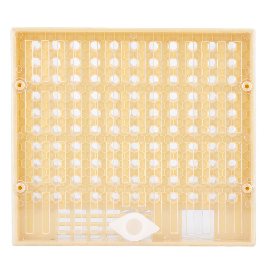 Beekeeping Rearing Cell Cup Kit Bee Queen Protective Cage Beekeeper Equipment Tools