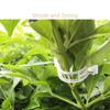 100Pcs Plant Support Clips Reusable Plastic Plant Vine Protection Grafting Fixing Tools for Vegetable Tomato Garden Supplies