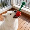 Jouet pour chien en peluche rose avec couineur, jouet à mâcher interactif pour petits et moyens chiens, peluche douce en forme de fleur.